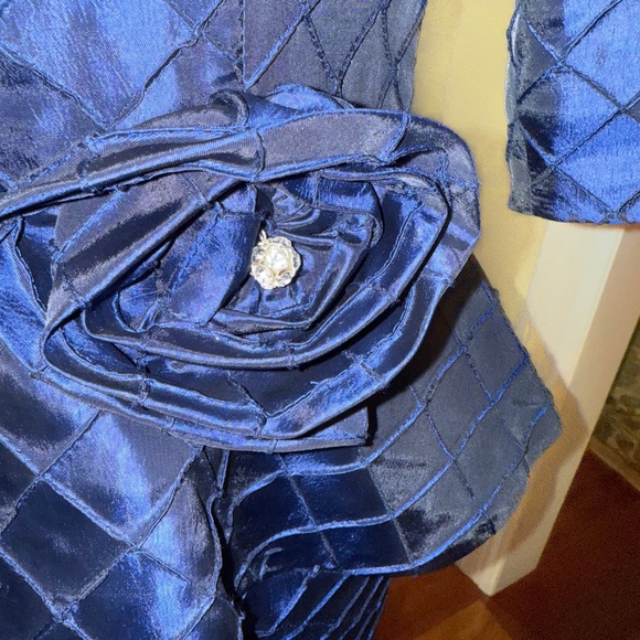 Mother of the Bride Dress - Picture 6 of 6